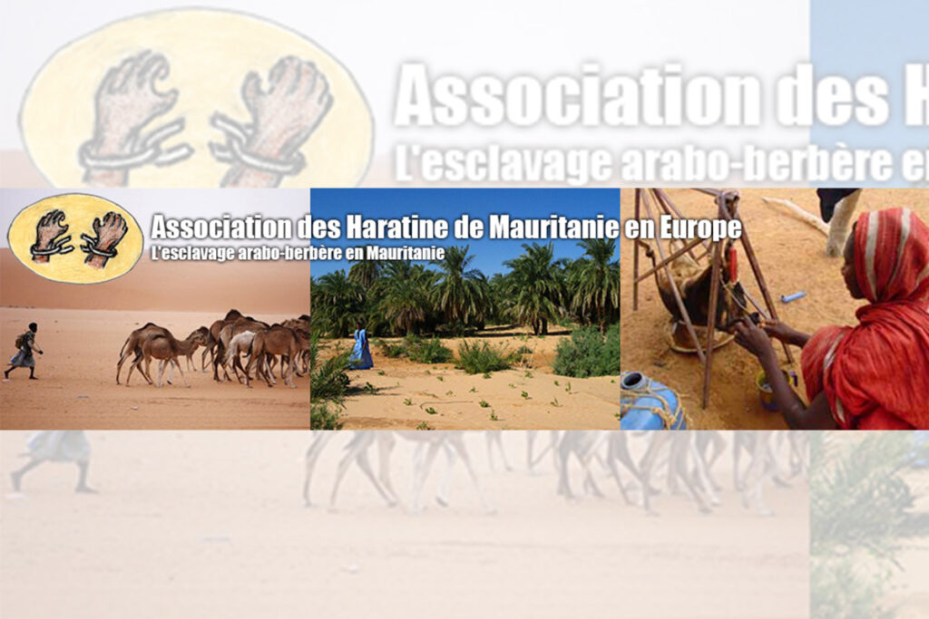 La Contribution de AHME à la journée des associations maghrébines relatives aux droits de la personne