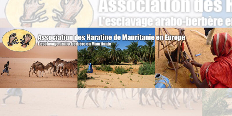 La Contribution de AHME à la journée des associations maghrébines relatives aux droits de la personne