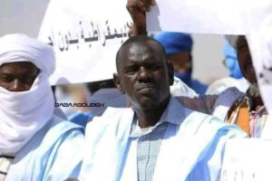 Lire la suite à propos de l’article Mauritanie : le Président, les tribus, la matraque